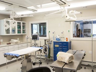 Brewer Veterinary Clinic surgery suite Brewer Veterinary Clinic surgery suite