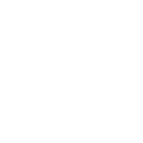 neurology icon