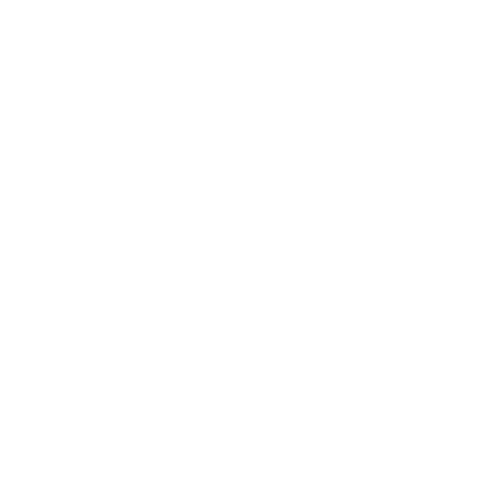 Pet Surgery