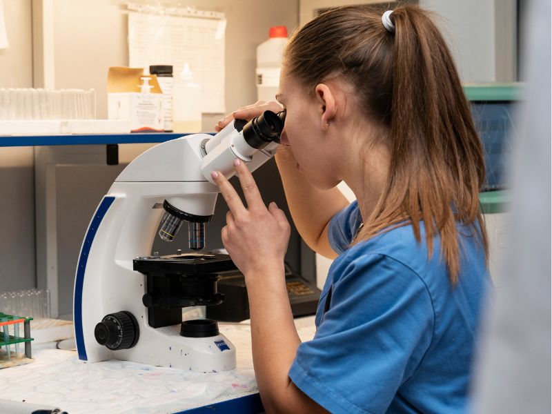 Veterinary staff looking through a microscope