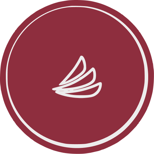 CareCredit icon